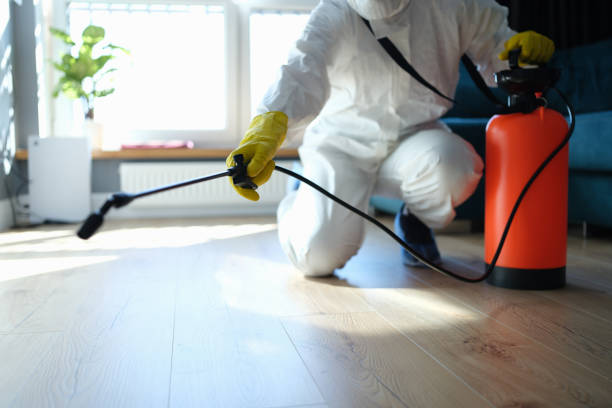 Reliable Hoarding Cleanup contractor in Coulterville, IL by Dulley Family Biohazard Services